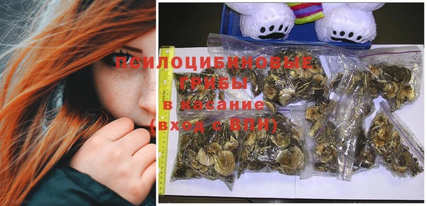 МДМА Медвежьегорск